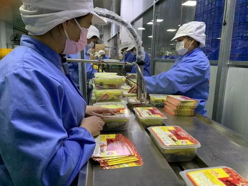 落實優惠政策，拓展“非接觸式”辦稅，稅務部門多措并舉助力企業復工復產